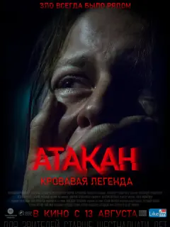 Ксения Плюснина, Владимир