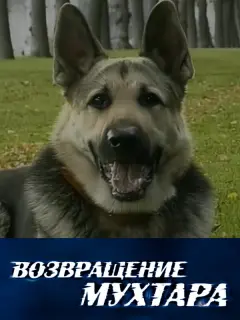 Алла Ковнир, Виктор Низовой,